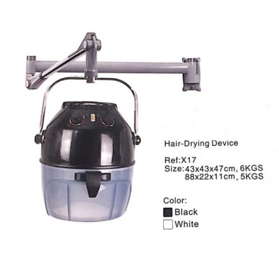 Classic European Style Hair Steamer(HD203)