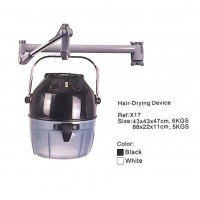 Classic European Style Hair Steamer(HD203)